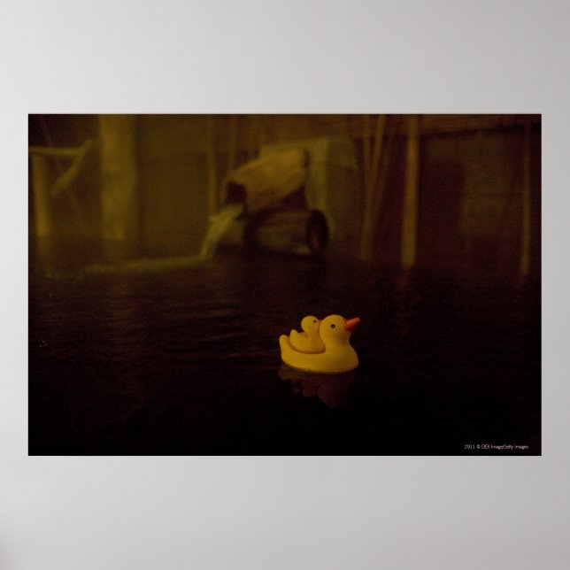 Japan Poster (Vorne)