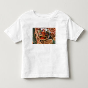 Japan, Präfektur Gifu, Takayama (auch bekannt als Kleinkind T-shirt