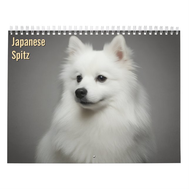 Japan-Spitz 2027 Wandkalender (Titelbild)
