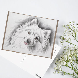 Japan-Spitz-Hunderezucht-Skizzenillustration Postkarte