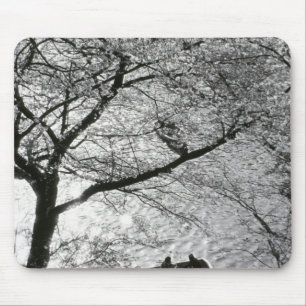 Japan, Tokio. Kirschblüten im Kaiserlichen Mousepad