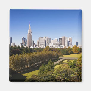 Japan. Tokio. Skyline des Bezirks Shinjuku und Magnet