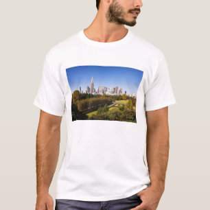 Japan. Tokio. Skyline des Bezirks Shinjuku und T-Shirt