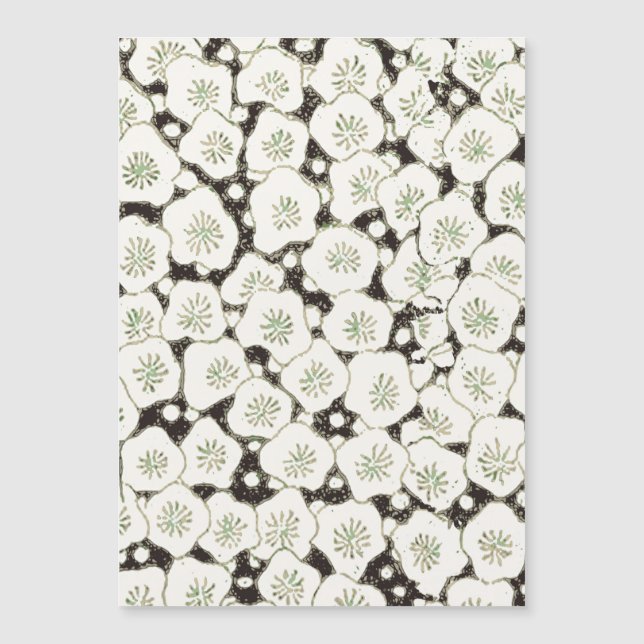 Japan Weiße Blume Blumengarten Magnetkarte (Vorderseite)