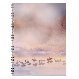 Japan Winternatur. Naturlandschaft, verschneite Na Notizblock