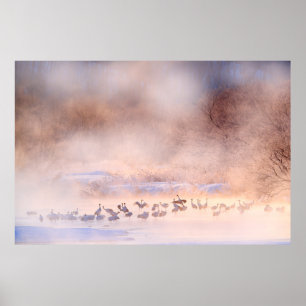 Japan Winternatur. Naturlandschaft, verschneite Na Poster