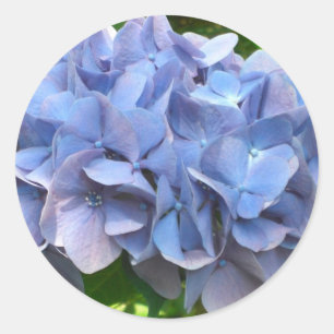 Japanblume Runder Aufkleber