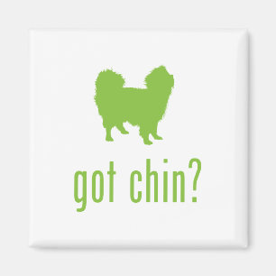 Japaner Chin Magnet