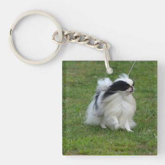 Japaner Chin Schlüsselanhänger