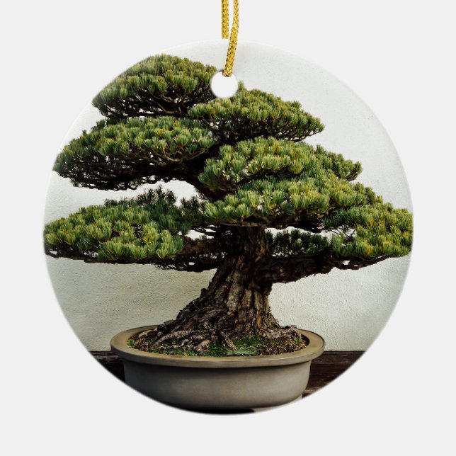 Japaner-White Pine-Bonsais-Baum Keramik Ornament (Vorne)