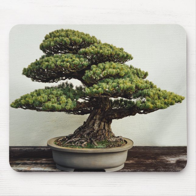 Japaner-White Pine-Bonsais-Baum Mousepad (Vorne)