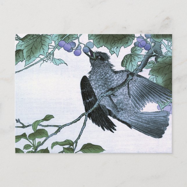 Japaner Woodblock Druck eines Vogels, der Trauben Postkarte (Vorderseite)