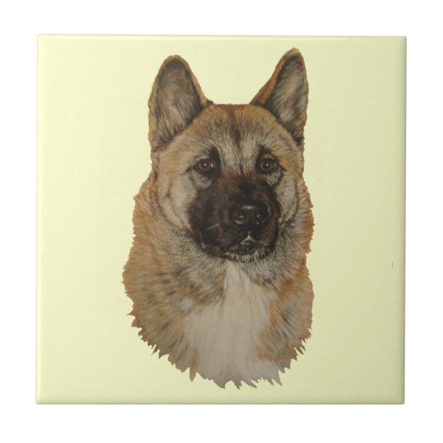 Japanese/American akita dog portrait art tile Fliese (Vorderseite)