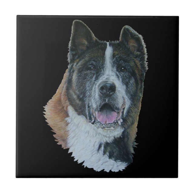 Japanese/American akita dog portrait black tile Fliese (Vorderseite)