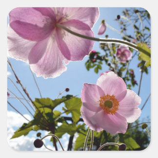 Japanese Anemone Quadratischer Aufkleber