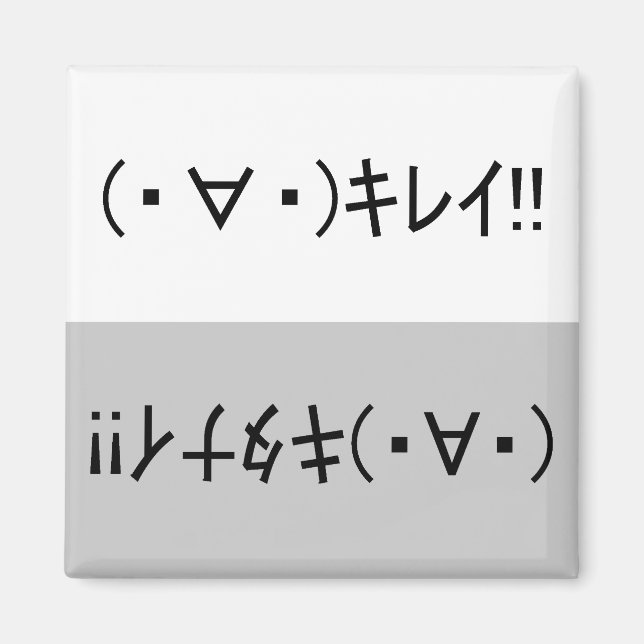 Japanese ASCII Art「キレイ!」&「キタナイ!」dishwasher magnet (Vorne)