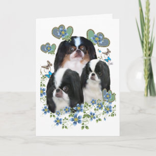 Japanese Chin All Chance Greeting Cards and Art Karte