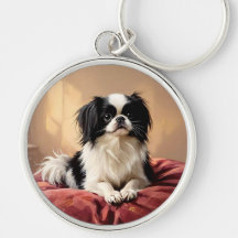 Japanese Chin