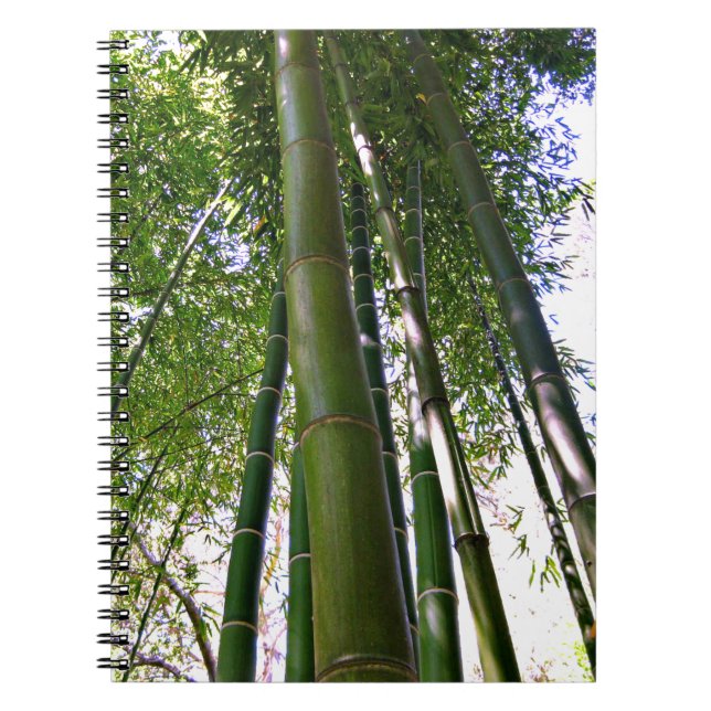 Japanese Garden Bamboo Forest Note Book Notizblock (Vorderseite)