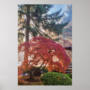 Japanese Gardens In Autumn In Portland, Oregon 6 Poster