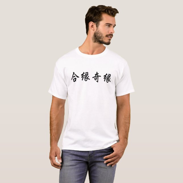 Japanese Kanji T-shirts (Japan 日本の漢字 Tシャツ) / 合縁奇縁 (Vorne ganz)