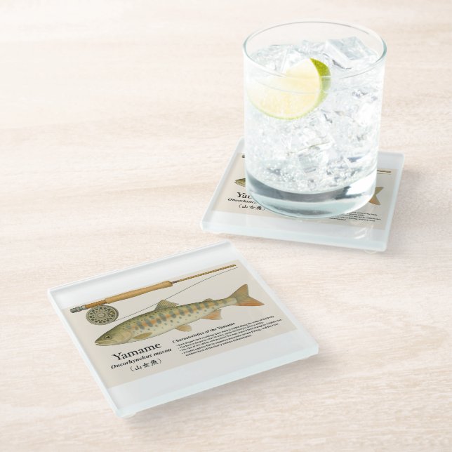 Japanese Native Trout – Yamame  Glasuntersetzer (Schrägansicht)