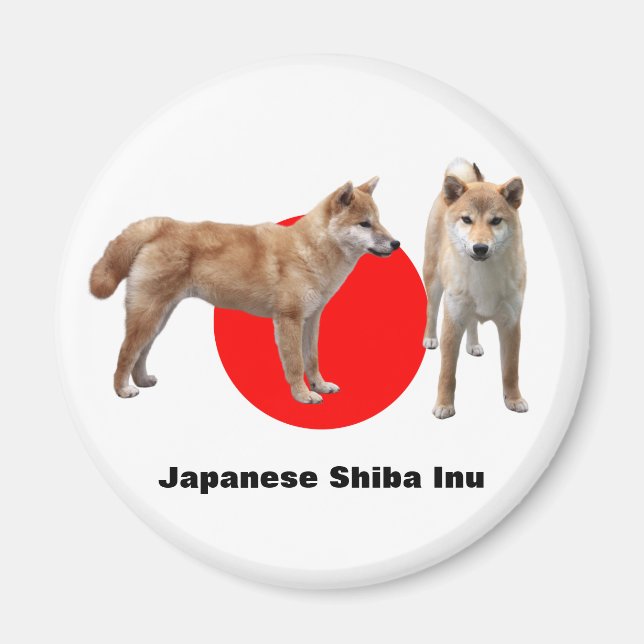 Japanese Shiba Inu Magnet (Vorne)