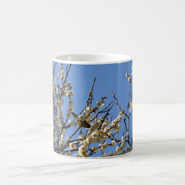 Japanese White-eye & Plum Blossoms: Japan Kaffeetasse (Mittel)