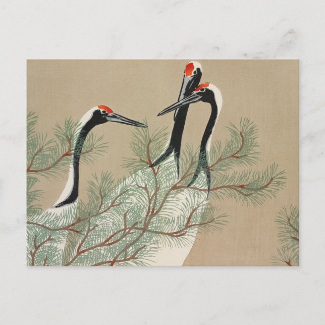 Japanese woodblock-print Cranes - Kamisaka Sekka Postkarte (Vorderseite)