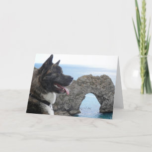 Japaness Akita Karte