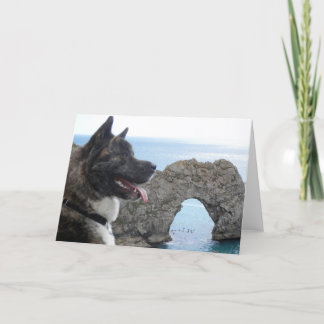 Japaness Akita Karte