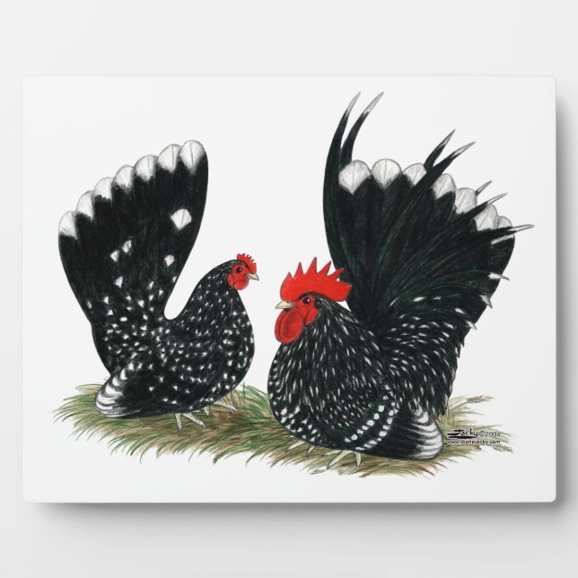 Japanisch Bantams Mottling Fotoplatte (Vorderseite)