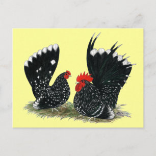 Japanisch Bantams Mottling Postkarte