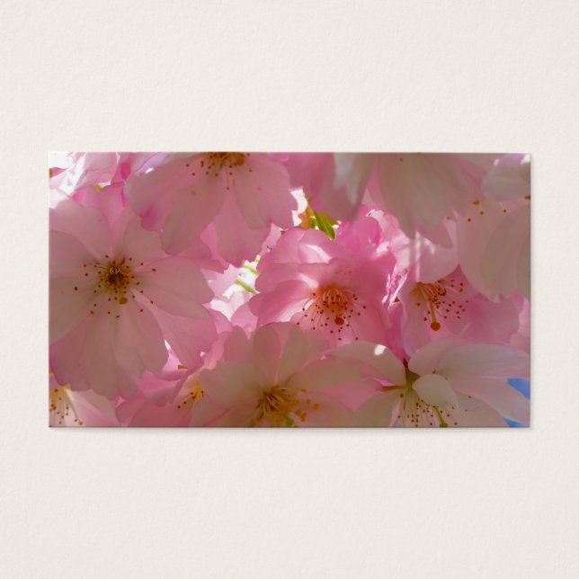 Japanisch Cherry Blossom (Vorderseite)