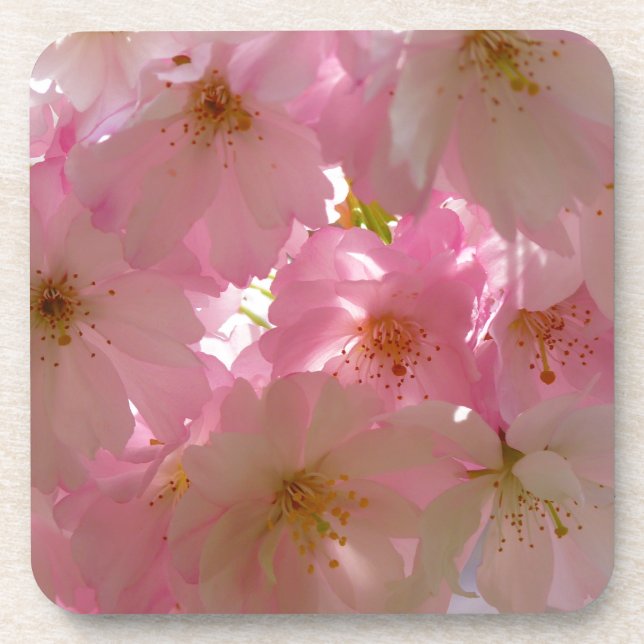 Japanisch Cherry Blossom Getränkeuntersetzer (Vorderseite)