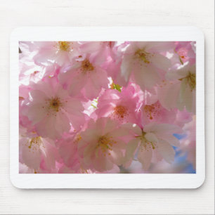 Japanisch Cherry Blossom Mousepad