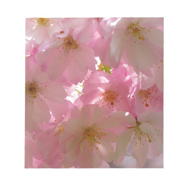 Japanisch Cherry Blossom Notizblock (Vorderseite)