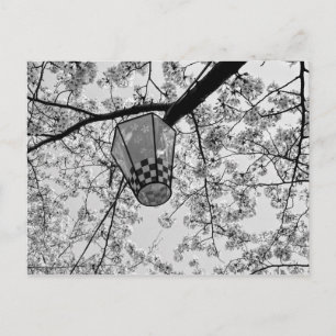 Japanisch Cherry Blossom und Lantern Postkarte