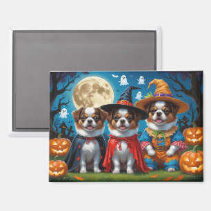 Japanisch Chin Dogs Pumpkin Halloween Funny Magnet