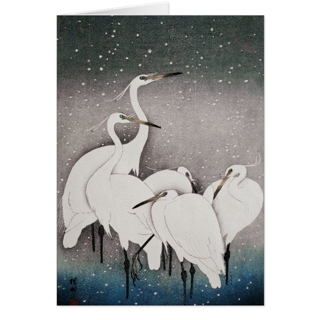 Japanisch Egrets Koson Cranes Winter Snow (Vorne)