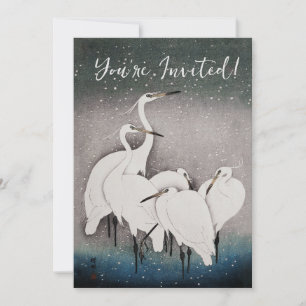 Japanisch Egrets Koson Cranes Winter Snow Einladung