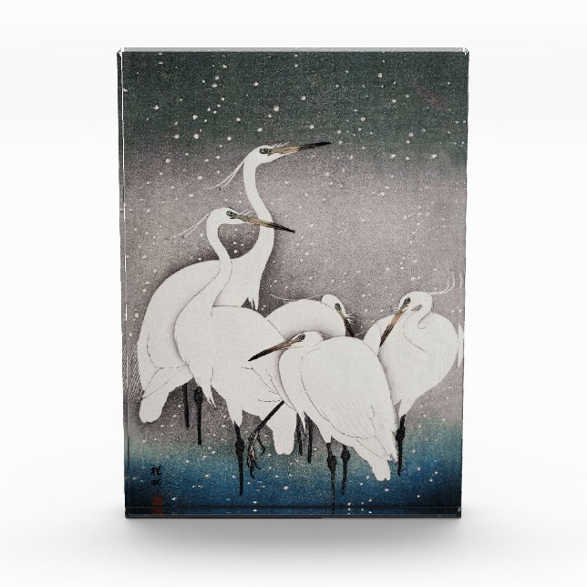 Japanisch Egrets Koson Cranes Winter Snow Fotoblock (Vorderseite)
