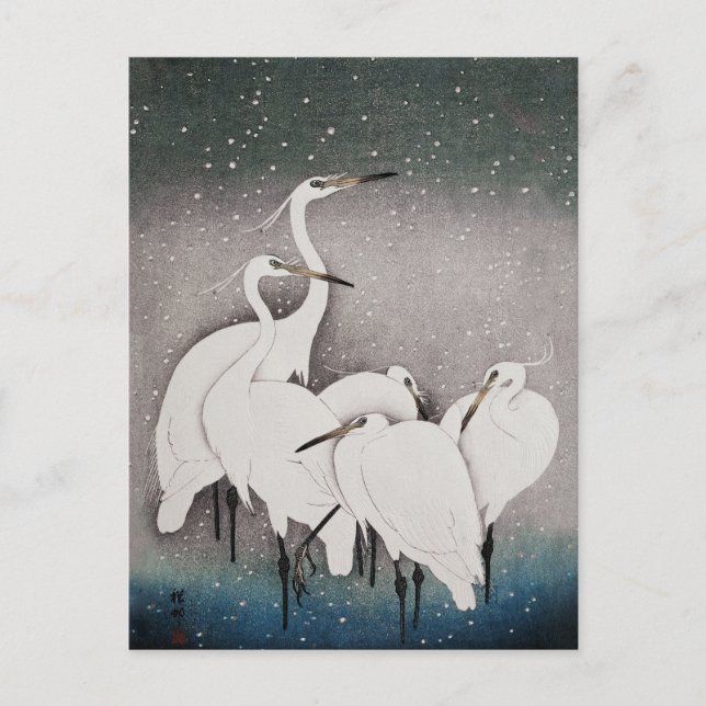 Japanisch Egrets Koson Cranes Winter Snow Postkarte (Vorderseite)