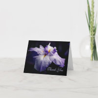 Japanisch Iris Blume Beauty Danke Karte