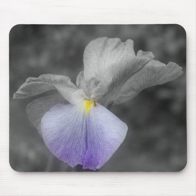 Japanisch Iris Blume Schwarz-weiß Mousepad (Vorne)