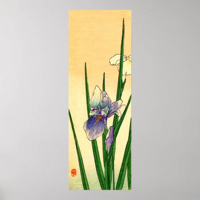 Japanisch Iris no.1 Poster (Vorne)