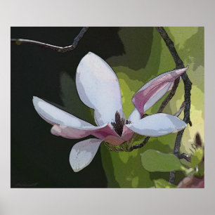 Japanisch Magnolia Art Print - 24x20 - oder kleine Poster