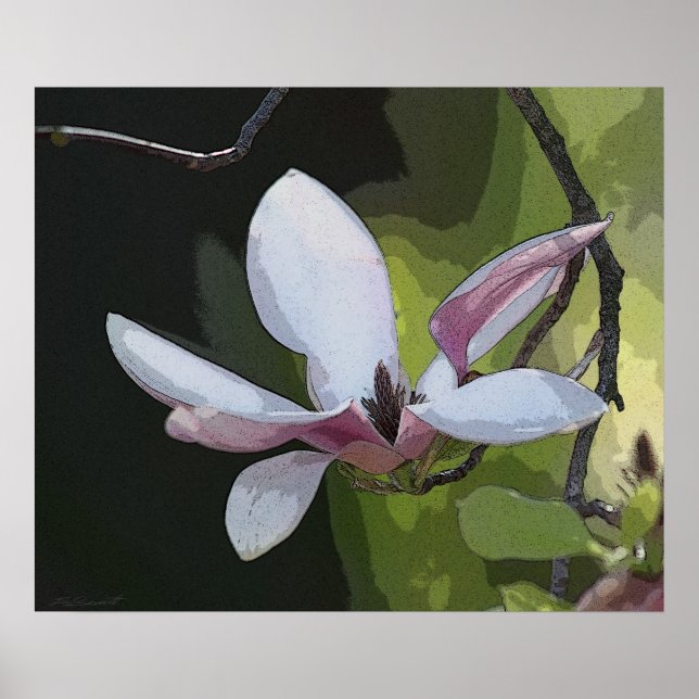 Japanisch Magnolia Art Print - 24x20 - oder kleine Poster (Vorne)