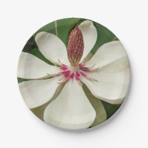 Japanisch Magnolia Blossom Floral