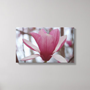 Japanisch Magnolia Canvas Print Leinwanddruck